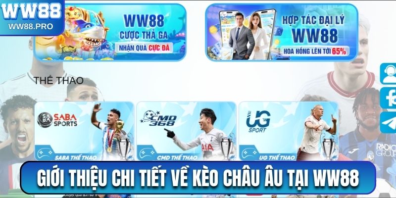 Giới thiệu chi tiết về kèo châu Âu tại WW88