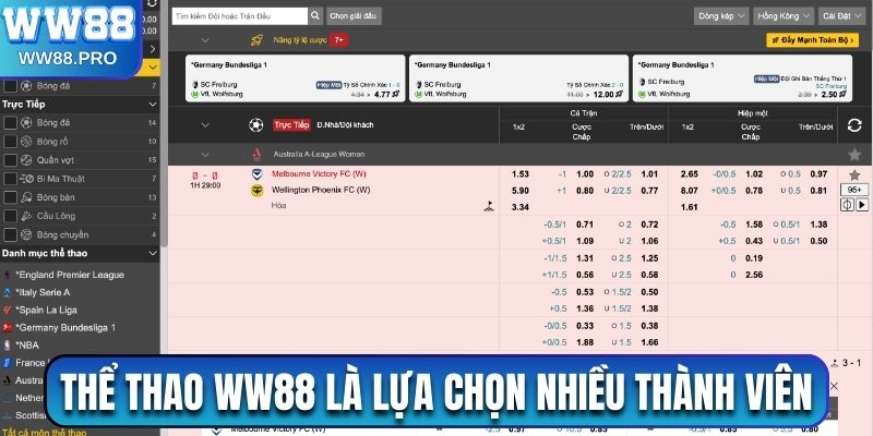 Thể Thao WW88 là sự lựa chọn ưu tiên của nhiều thành viên